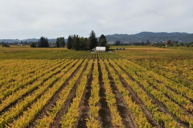 ATV Vineyard Tour with Wine Tasting