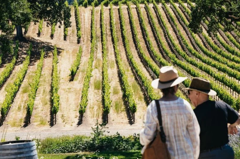 Napa & Sonoma Valley Wine Tour