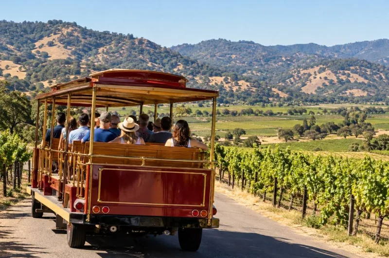 Open-Air Trolley Wine Tour with Lunch